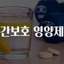 간보호 영양제 숨겨진 효능과 주의점