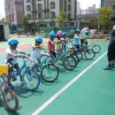 정태권도 이미지