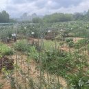 기흥2농장 이미지