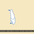 스마일턱치과의원 이미지