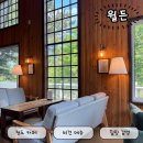 초록애견샵 | 경북 청도 카페 평화로운 애견동반 카페월든(비건메뉴 후기)