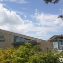 바니베어뮤지엄 이미지