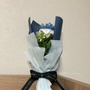 호시타코야끼도화점