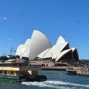 ok supermarket | 시드니 오팔카드 시내(타운홀) 구매처는 여기 I 실제 교통비·공항 이동까지