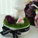 달하우스 이미지