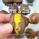 효성농원 | 칼집밤 공주알밤 공주효성농원 무훈증 유기농인증밤 구매후기