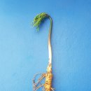 한국농약사 이미지