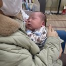 마더앤베이비산후도우미 이미지