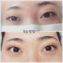 밝은네일 시크릿바비뷰티 의정부점 | [공지] 의정부밝은네일에서2월속눈썹펌할인행사해요~^^