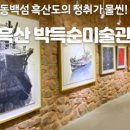 박득순미술관 이미지