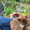 녹파랑 | 남자 예물시계 투어 브라이틀링 네비타이머 41mm 녹판 구매 후기