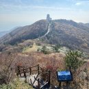 쌍계사 상록수림 | 상록수림이 아름다운 진도의 진산 &lt;첨찰산&gt;