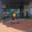 삼천리자전거 20 스몰박스 7D 접이식 출퇴근자전거 미니벨로 구매후기