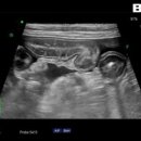 기인메디칼 이미지