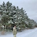 오라오거리 (명신마을방면) | [공지] 🛷❄️ 제주 일상 | 12월에는 천연 눈썰매! 포인트 위치, 추천 리스트 feat. 겨울 오름, 숲길
