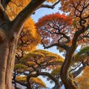 빵집이야기 이미지