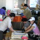 씨돌농장 이미지