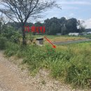 서구-02-21 이미지