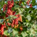 힘나는 약국 이미지