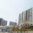 벚꽃공인중개사사무소 이미지