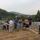 용인레이번스축구단 이미지
