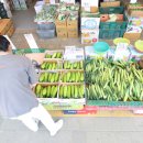 경동석유 - 부산진구 | 경동석유