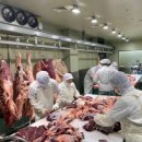 으뜸축산 이미지