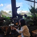 포동이농장 이미지