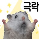 후평목장 네이버블로그