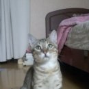 재송2동-31 이미지