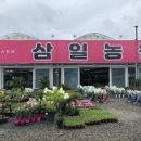 삼일농원 이미지