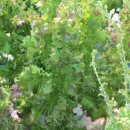 샘밭농장 이미지