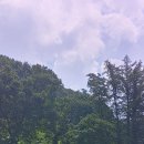 좌구산자연휴양림 이미지