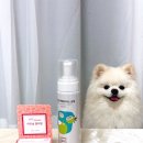 (주)케이소프트 | 메가주2025 케이펫페어 강아지 보습관리 추천템 아인솝 워터리스샴푸 &amp; 멀티밤