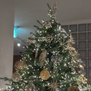 [서현역] 분위기 좋은 연말모임장소🎄 투파인드피터 🔵 TO FIND PETER 🍝