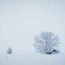 하얀세상 이미지