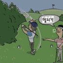 멀리건 이미지