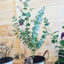 라라필라테스&PT 이미지