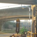 김태호피자 이미지