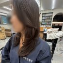 현정 | 문정동미용실 가락동미용실 아루엔헤어 다녀온 후기(현정 디자이너)
