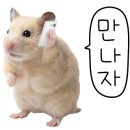 경남부동산중개 이미지