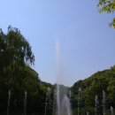 세기할인마트 이미지