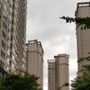 솔공인중개사사무소 이미지