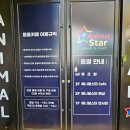 (주)제이스타 | 대전 동물카페 추천 애니멀스타｜아이와 함께 다녀온 실내 동물체험 후기