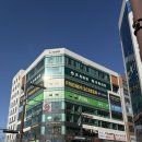 [04/19] 프리저브드 플라워 미니센터피스 - 원데이 클래스 | 새솔동꽃집 프리저브드 플라워 꽃,힐링 공방