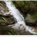 금원산자연휴양림(거창) 이미지