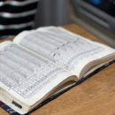 사주명리 | 수유사주 불이의 사주명리 후기