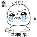 이번생은 댕댕이 이미지