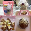 여시까까 이미지