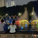 광양 가볼만한곳 마동유원지 음악분수 시간표부터 로맨틱한 이벤트 신청 방법까지